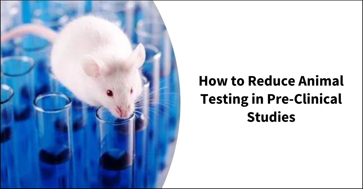 how-to-reduce-animal-testing-in-pre-clinical-studies